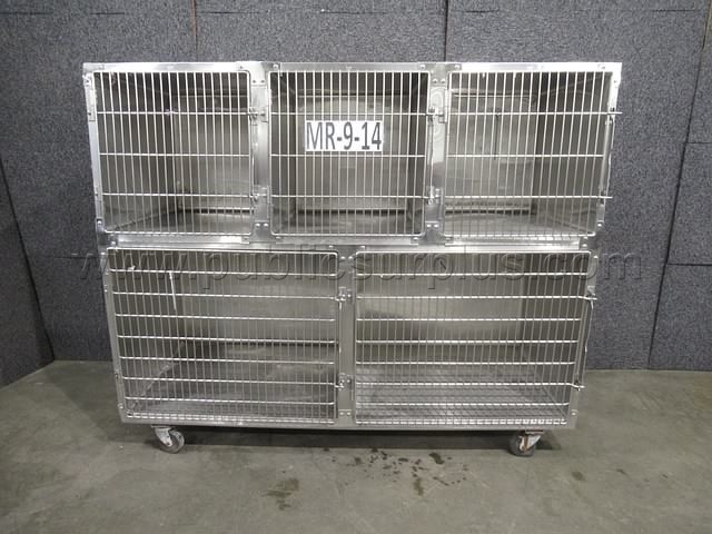 KENNELS ~ MR-9-14 — photo 1