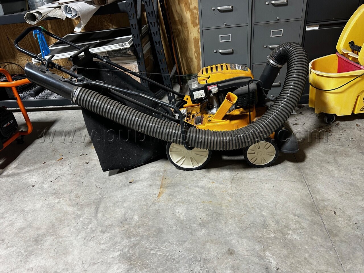 Shredder Vacuum Cub Cadet, CSV 050 (W26-21033) [Ona, Florida] DD — photo 1