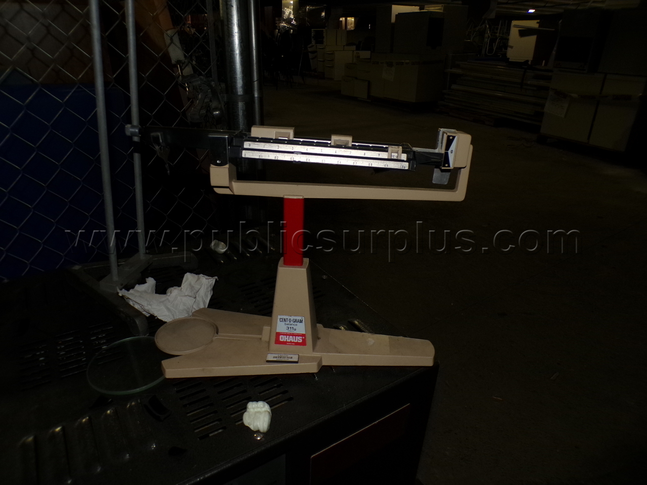 Scientific Scales — photo 1