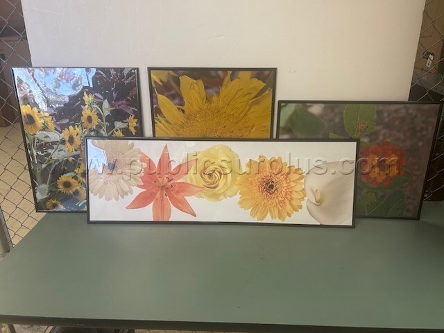 Framed Flower Prints Lot — photo 1
