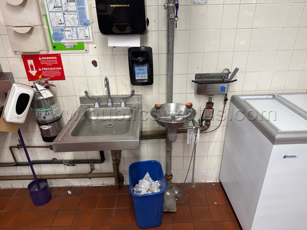 Sink Eye Wash Station and Dipwell - Lot J — photo 1