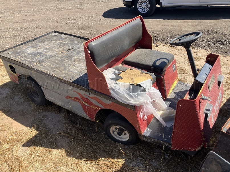 Golf Cart — photo 1