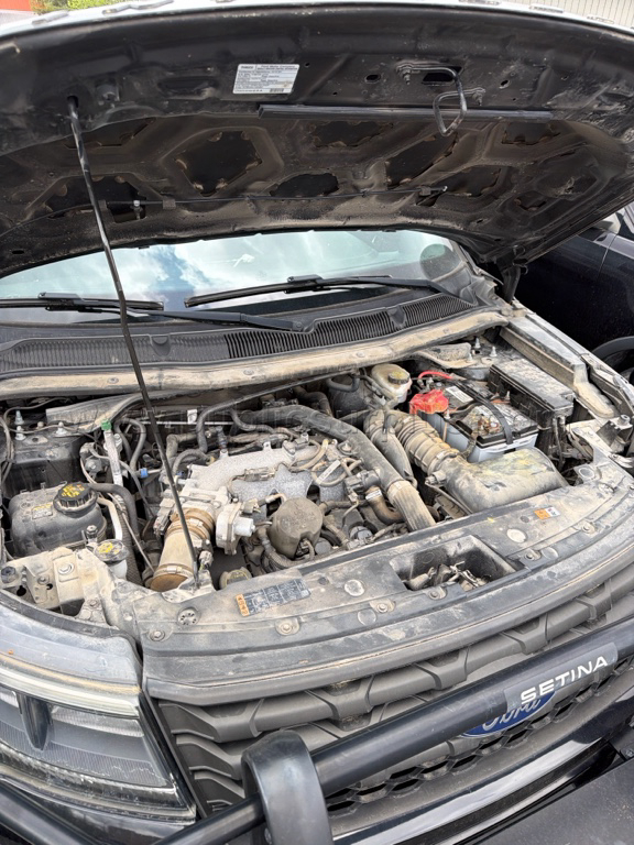 2019 Ford Interceptor 702 — photo 1