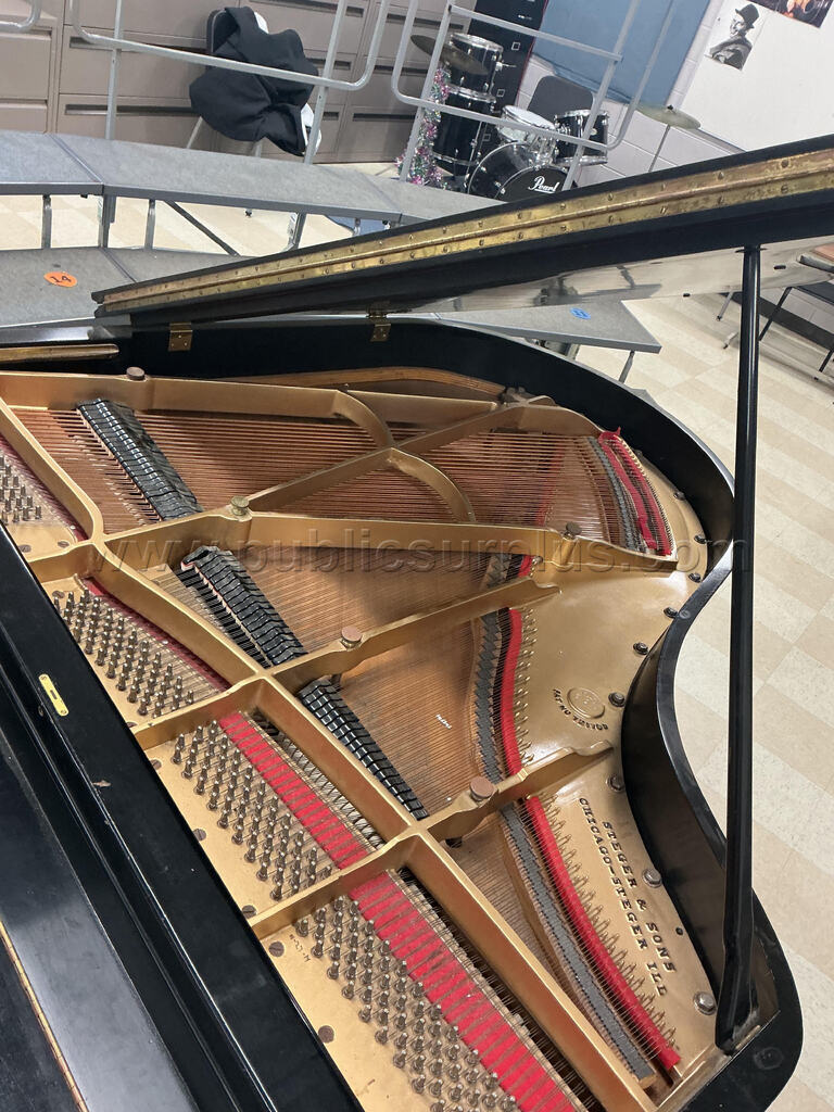 Steger and Sons Grand Piano — photo 1
