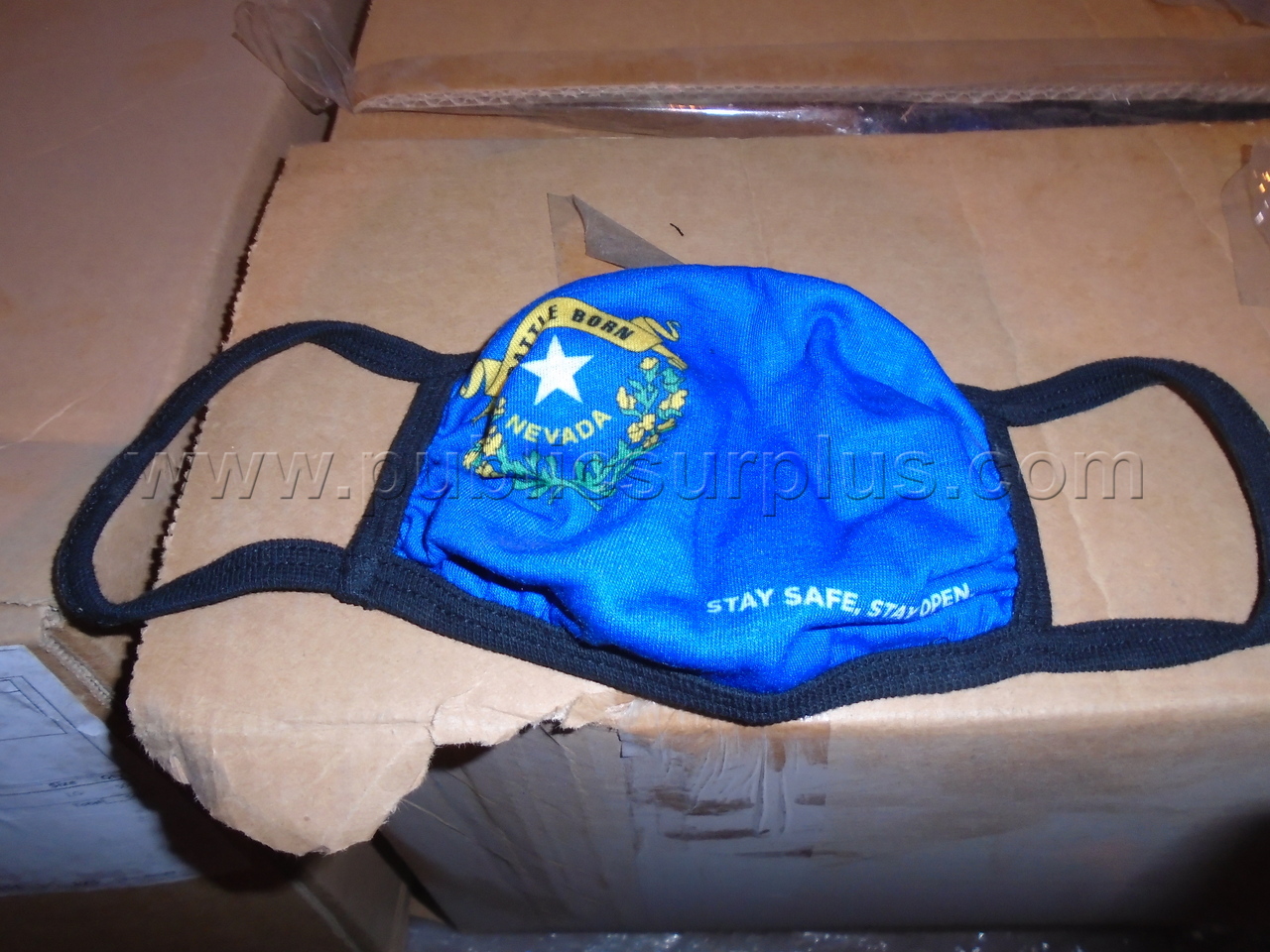 NEVADA STATE MASK — photo 1