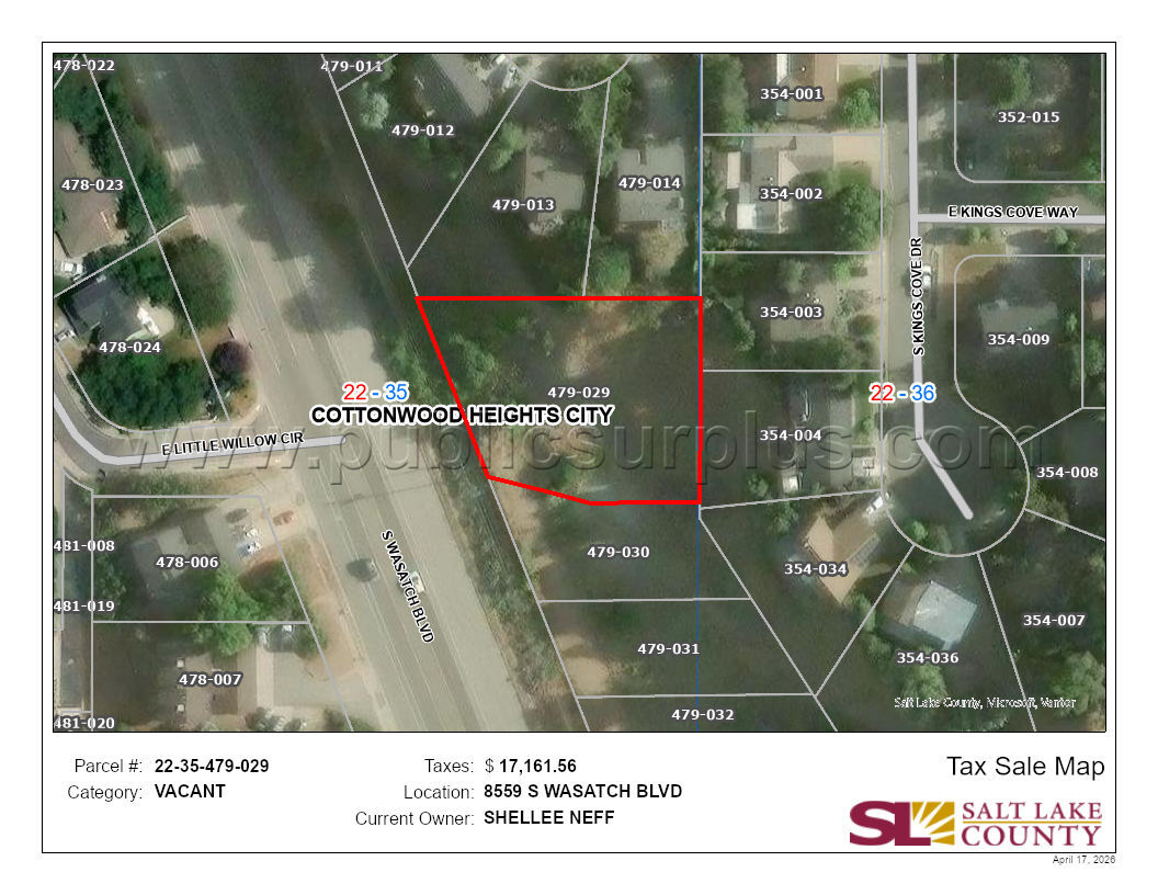 VACANT 22-35-479-029-0000 — photo 1