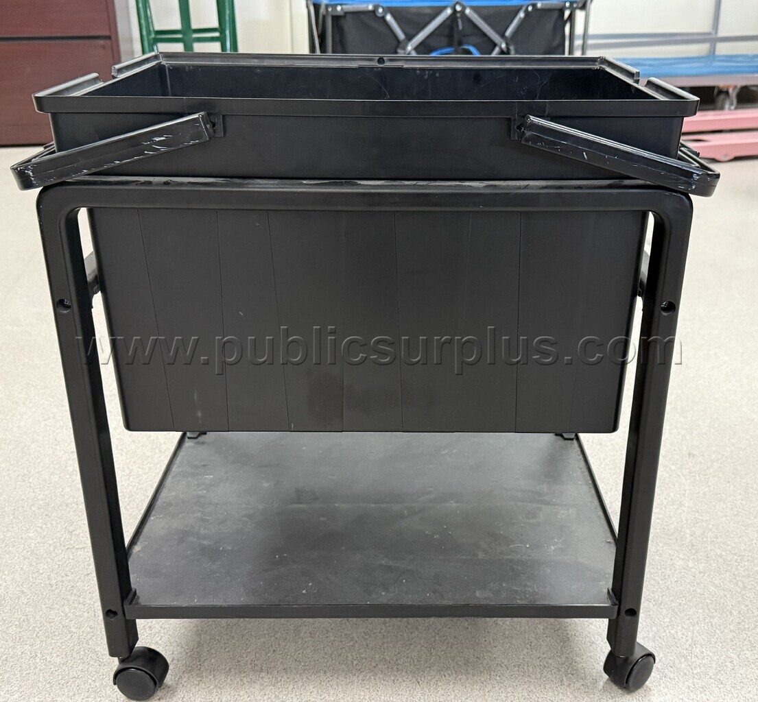 Auction#173- rolling filing cart — photo 1