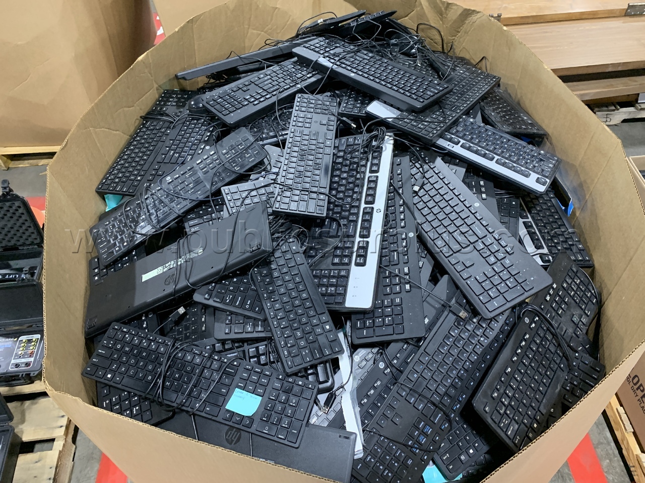 Mice & Keyboards, Gaylord /KK — photo 1