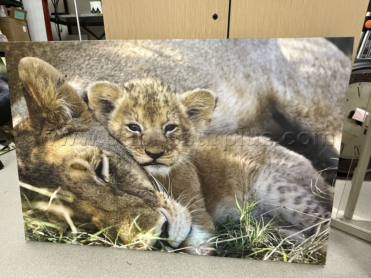 Auction#214- momma/baby lion canvas — photo 1