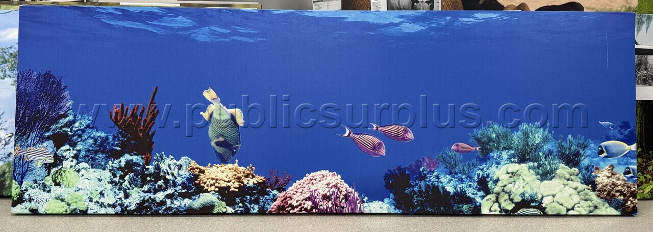 Auction#205- Under the sea canvas — photo 1