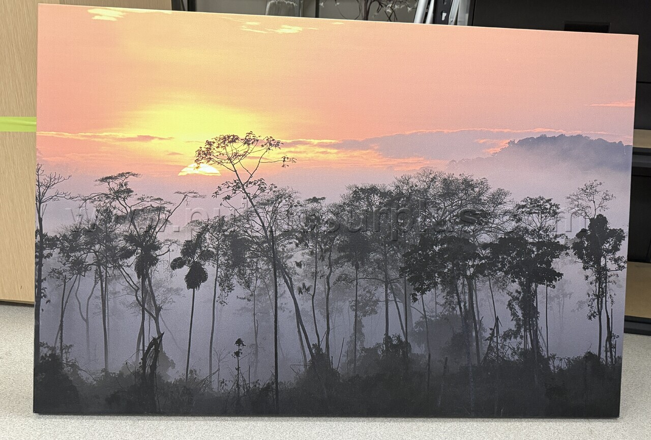Auction#223- Sunset canvas — photo 1