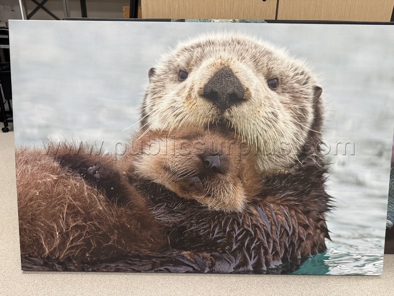 Auction#207- Otters canvas — photo 1
