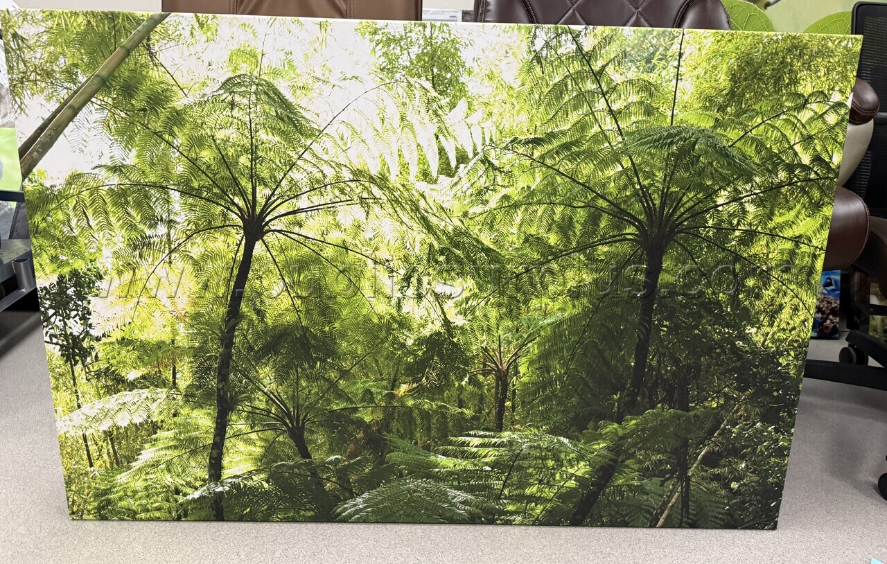 Auction#252- Tree canvas — photo 1