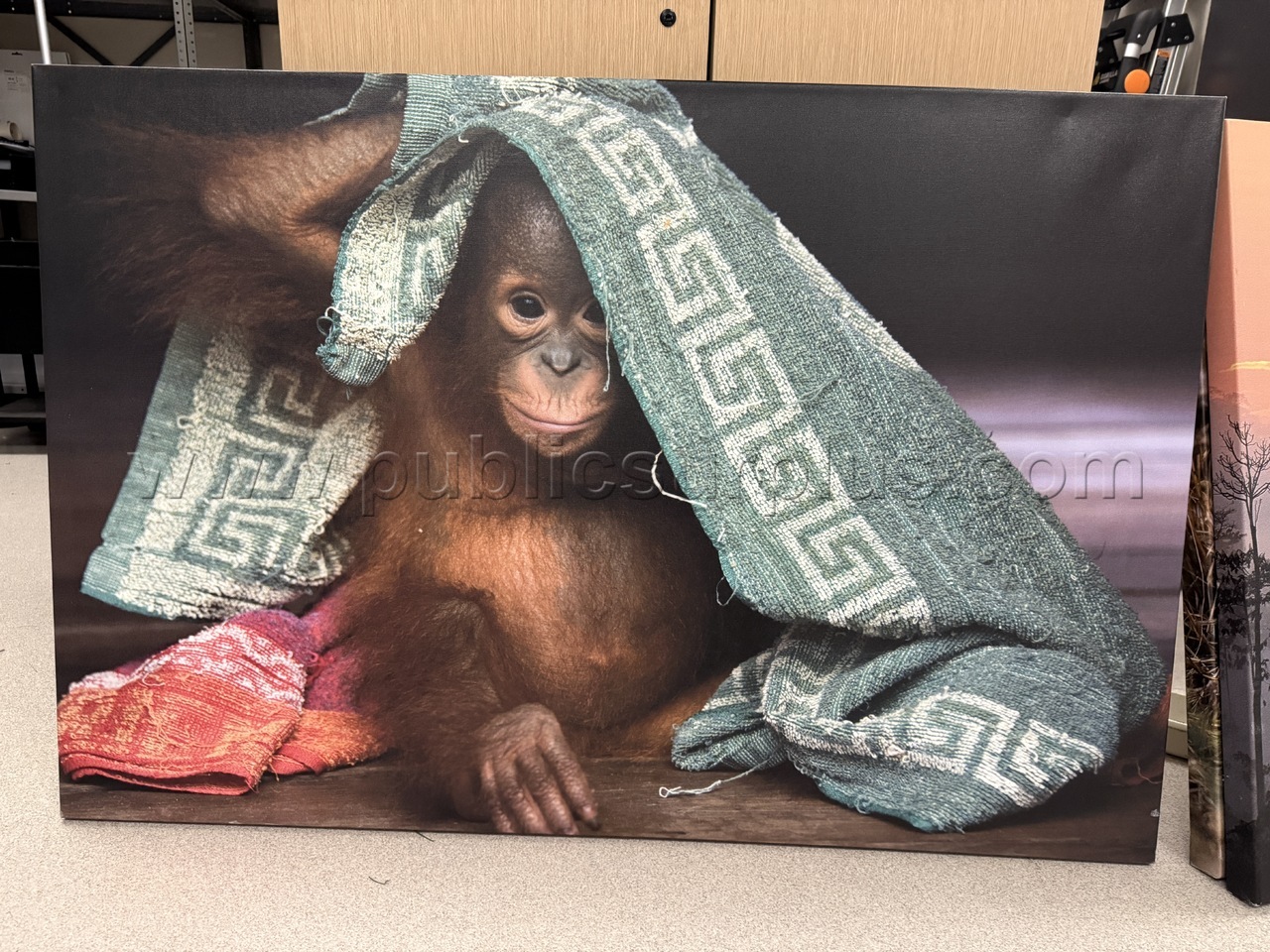 Auction#208- baby monkey canvas — photo 1