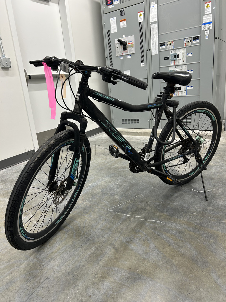 RCT Genesis Mountain Bike — photo 1