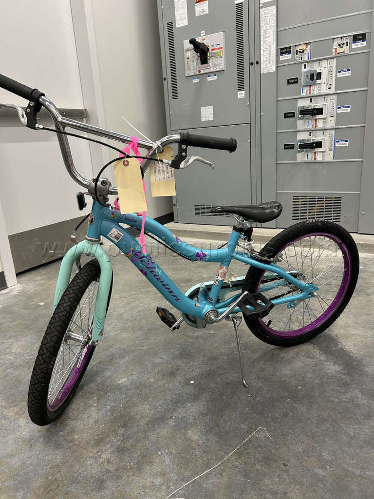 Schwinn Kids Bike — photo 1
