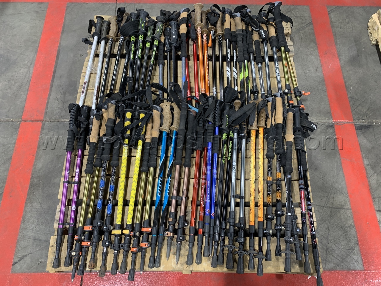 Walking Sticks /KK — photo 1