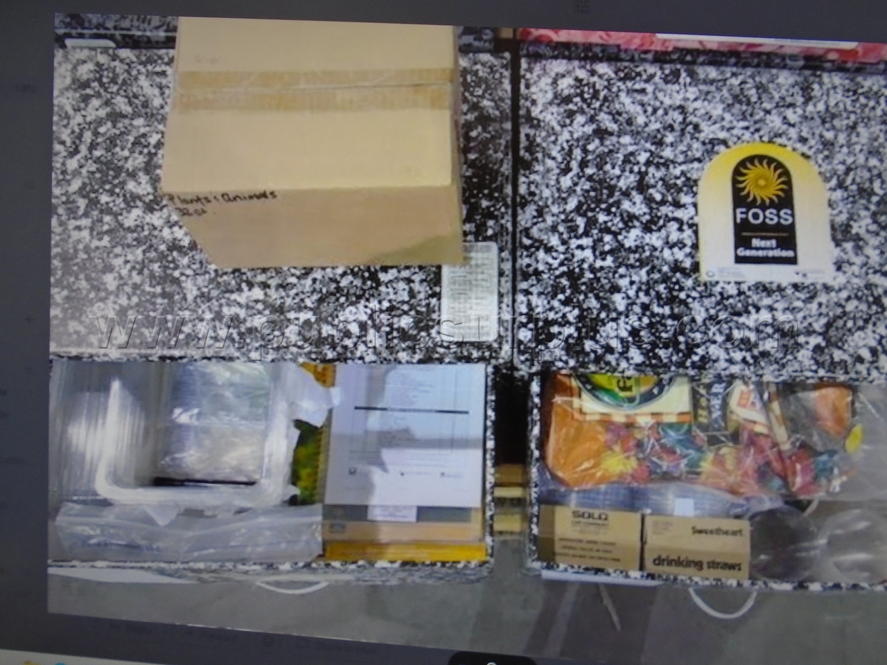 FOSS KIT/ 1ST GRADE PLANTS & ANIMALS — photo 1