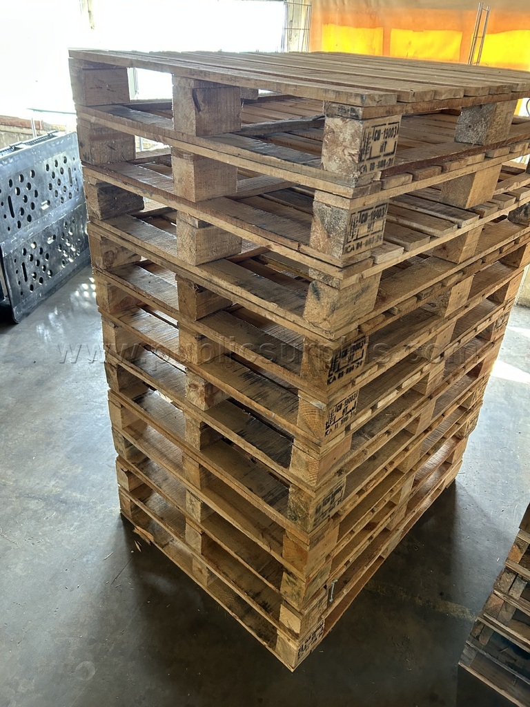 Pallets (105 total) — photo 1