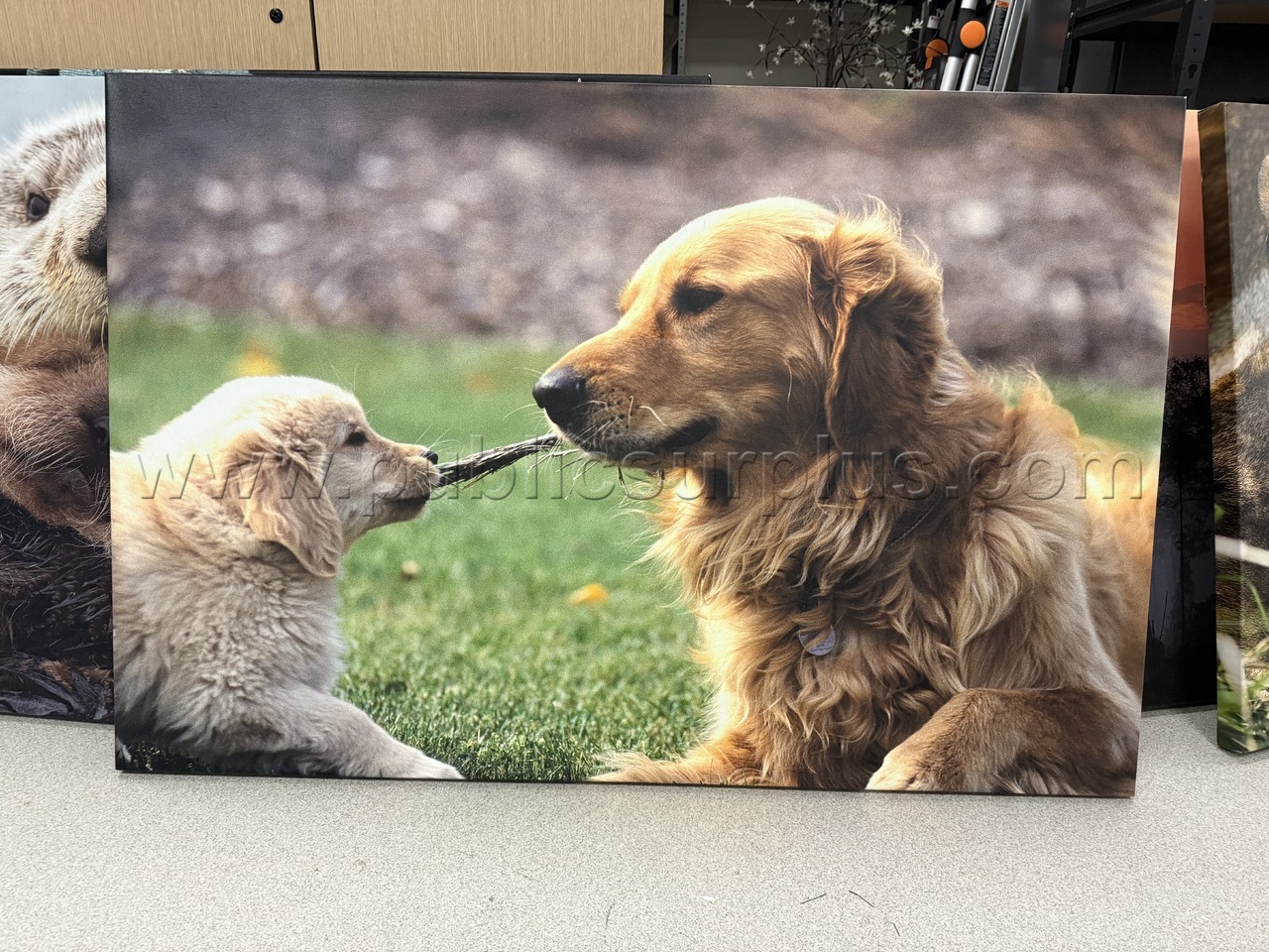 Auction#189- Dogs canvas — photo 1