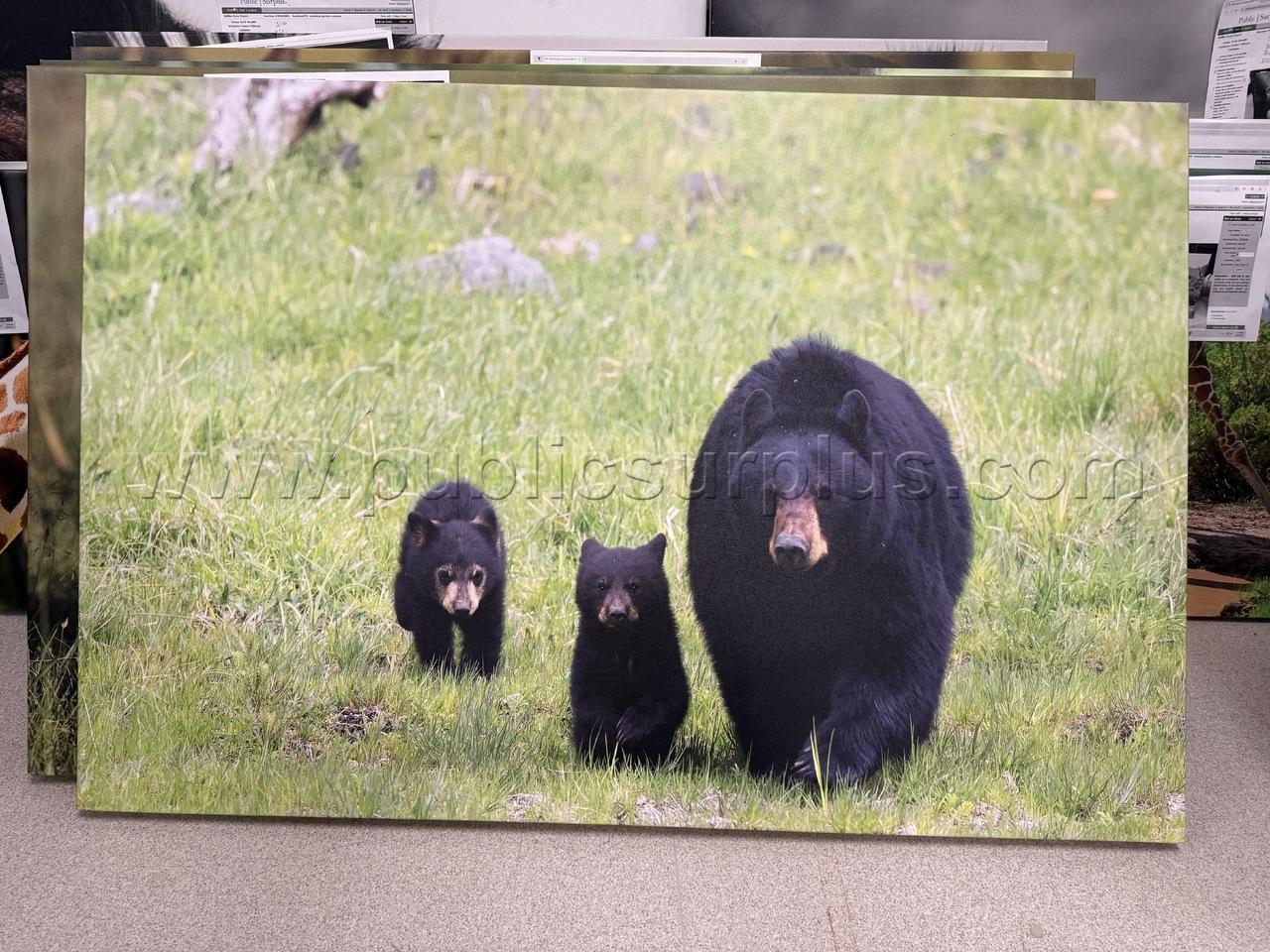 Auction#190- Bears canvas — photo 1