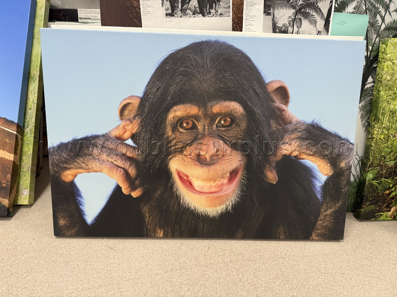 Auction#195- Monkey canvas — photo 1