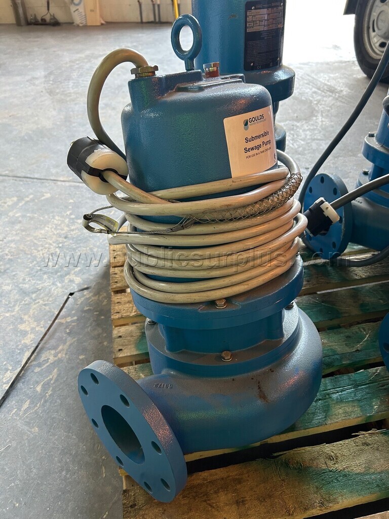 Cast Iron Sewage Ejector Pump Model HS3032D4S — photo 1