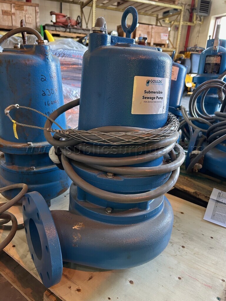 Cast Iron Sewage Ejector Pump Model WS3038D4 — photo 1