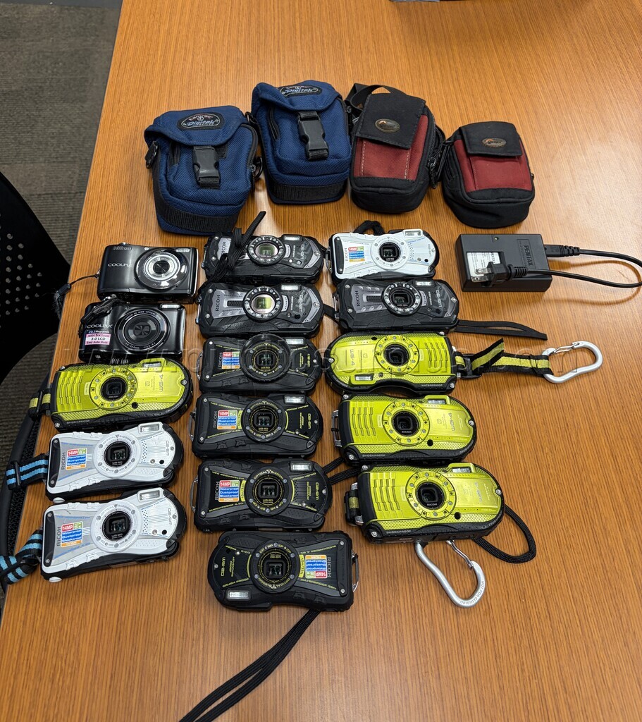 Nikon and Ricoh Digital Cameras — photo 1