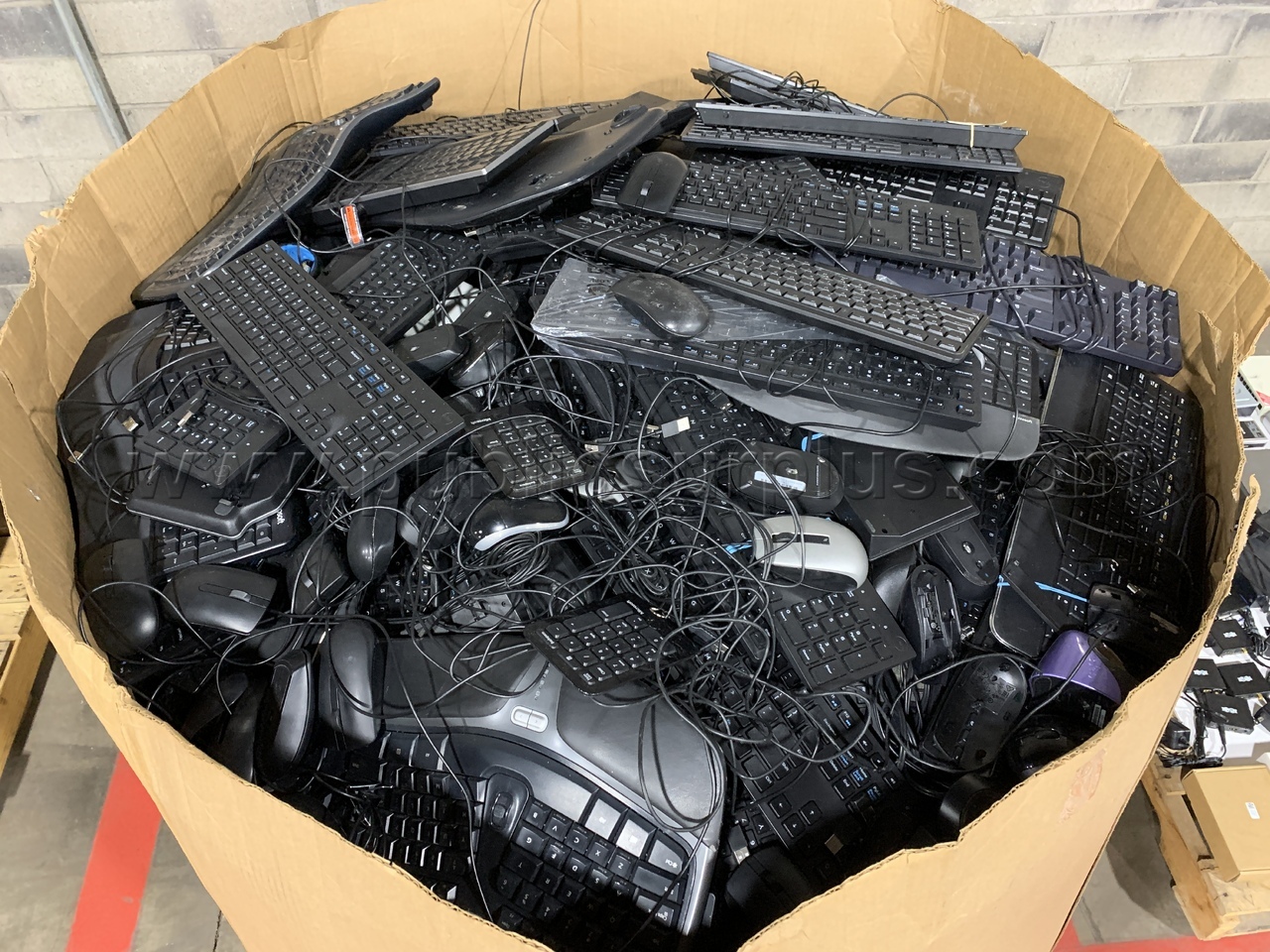 Mice & Keyboards, Gaylord /KK — photo 1