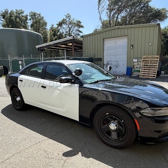2019 Dodge Charger — photo 1