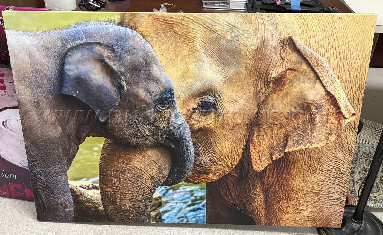 Auction#300- Mama/baby elephant canvas — photo 1