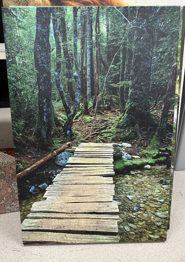 Auction#302- Wooden brige canvas — photo 1