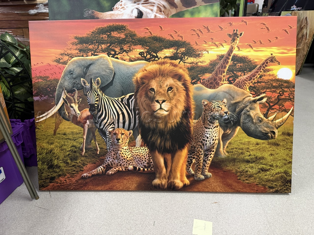 Auction#311- Kingdom animals canvas — photo 1