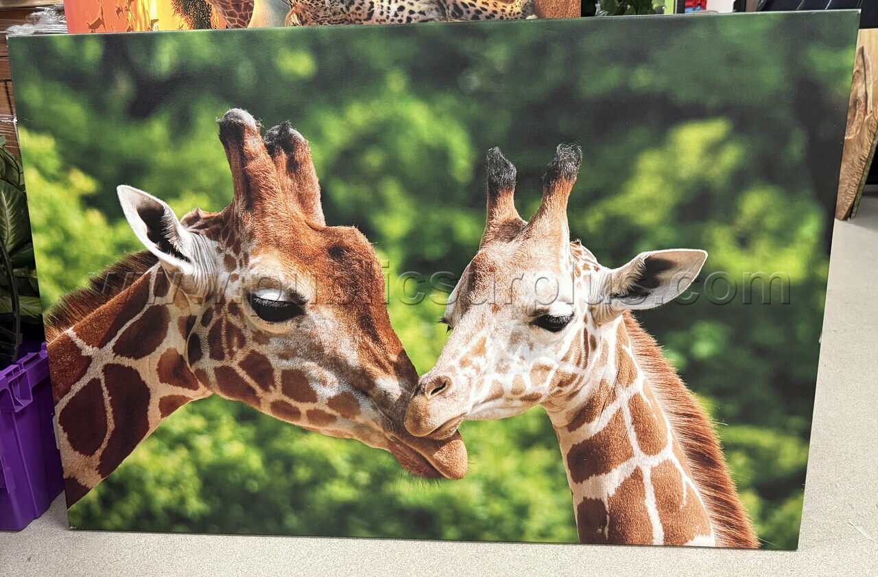 Auction#313- Mama/baby giraffe canvas — photo 1