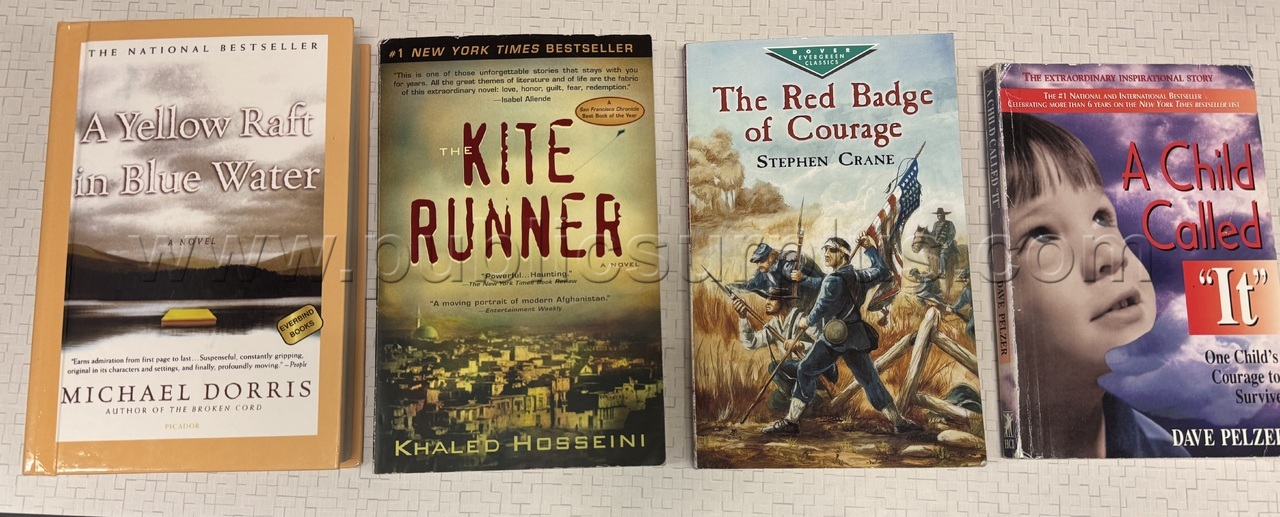 Assorted Novels — photo 1