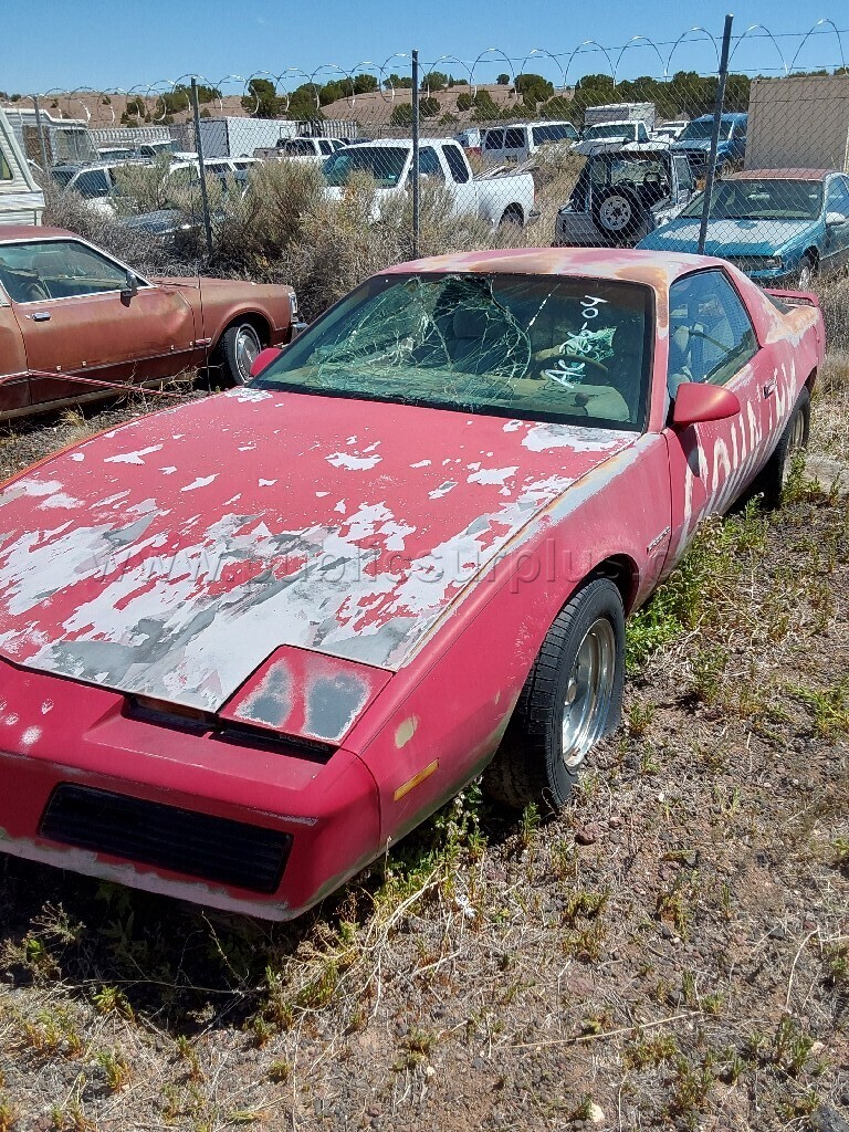 1984 Pontiac Firebird — photo 1