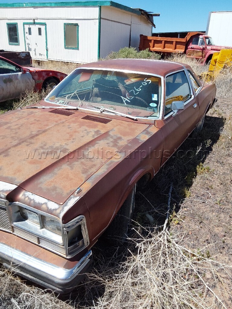 1977 Dodge Diplomat — photo 1