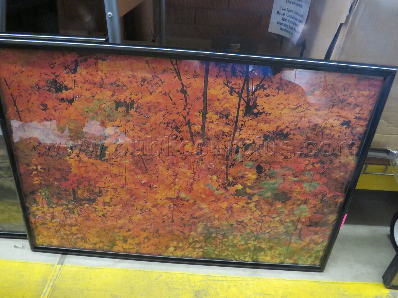 Framed Picture — photo 1