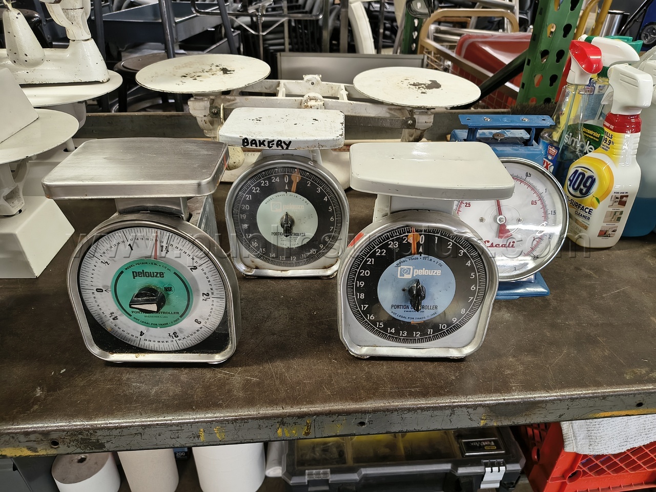 Lots of Scales — photo 1