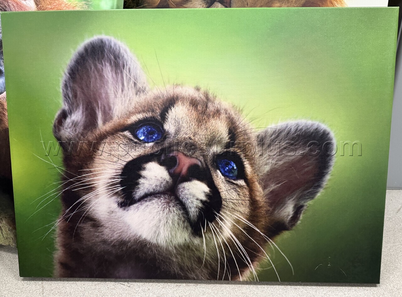 Auction#318- Mountain lion cup canvas — photo 1