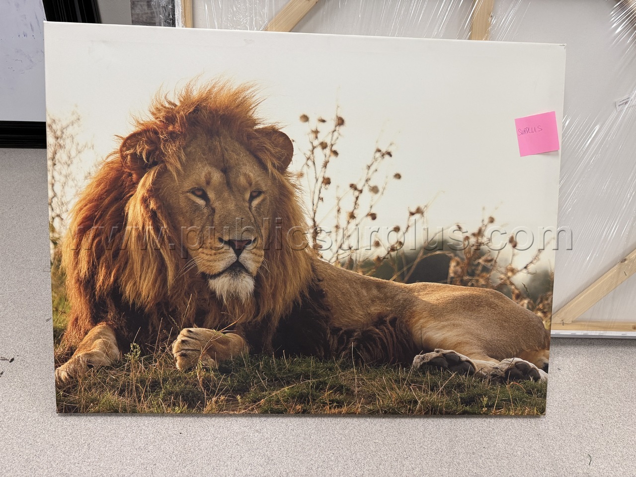Auction#319- Majestic lion canvas — photo 1