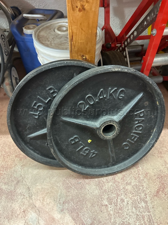45 lb plates — photo 1