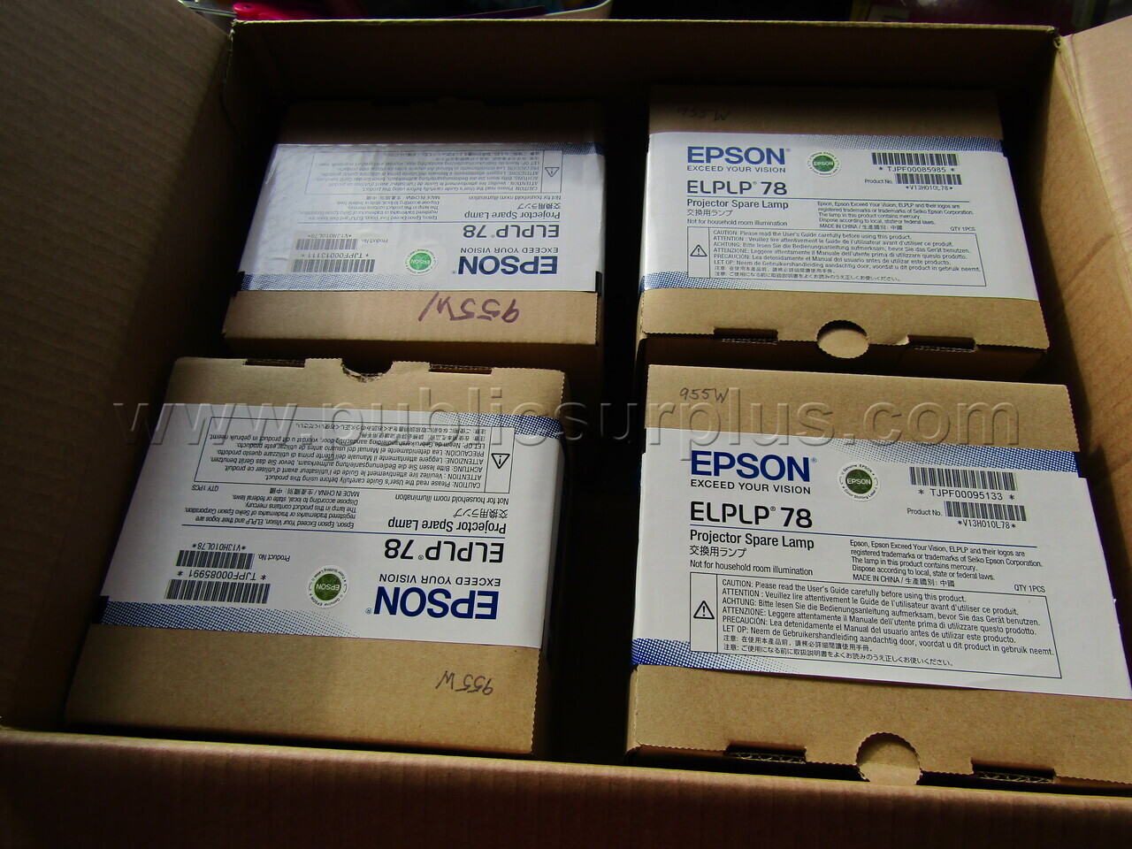 PROJECTOR LAMPS #1 — photo 1