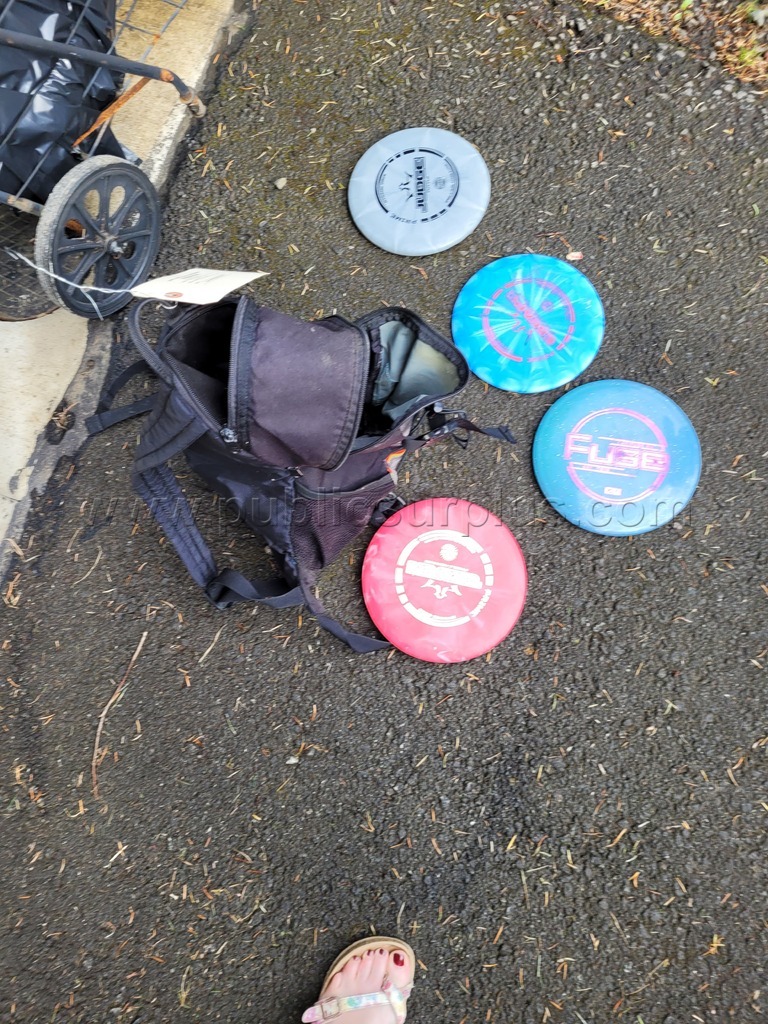 Disc Golf Discs and Weights — photo 1