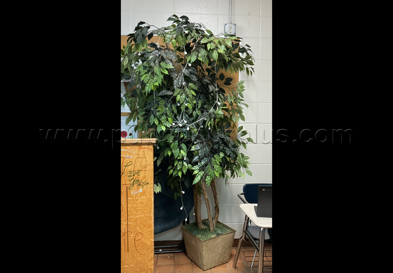 Large Decorative Tree — photo 1