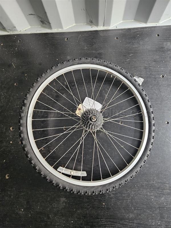 BICYCLE WHEEL 21" AND TIRE — photo 1