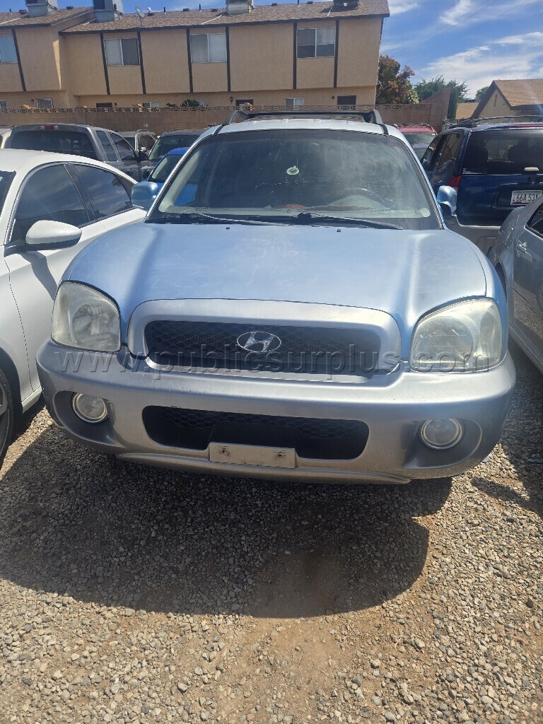 2004 Hyundai Santa Fe — photo 1