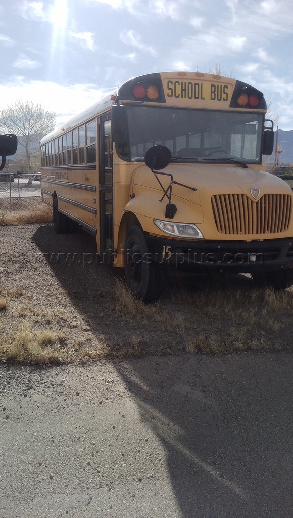 2007 IC Bus #15/4DRBUAAN46B258897 — photo 1