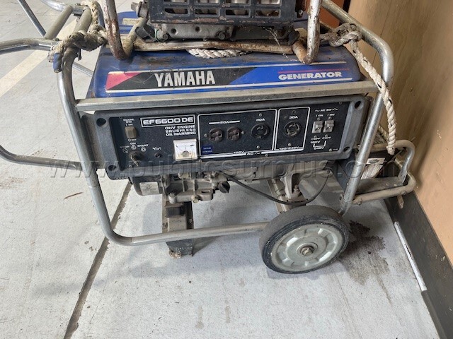 YAMAHA EF6600 DE — photo 1